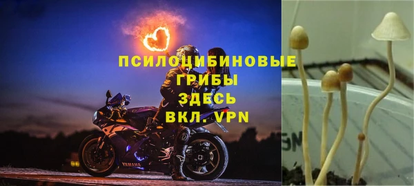 синтетический гашиш Алексеевка