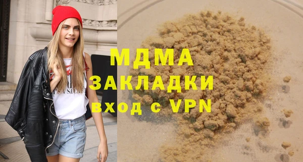 индика Алексин