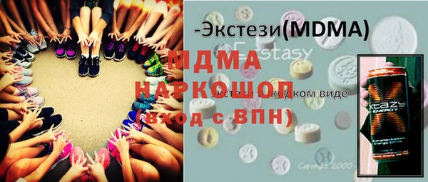 индика Алексин
